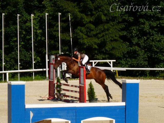 Ascara, KMK čtyřletých koní ve skocích (Z), Mariánské Lázně18.6.2014