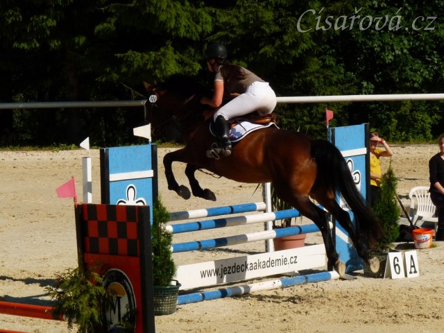 Ascara, KMK čtyřletých koní ve skocích (Z), Mariánské Lázně18.6.2014