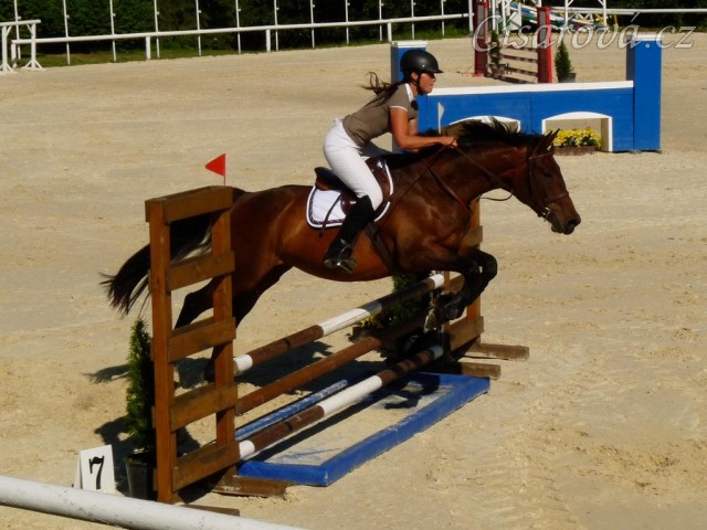Ascara, KMK čtyřletých koní ve skocích (Z), Mariánské Lázně18.6.2014