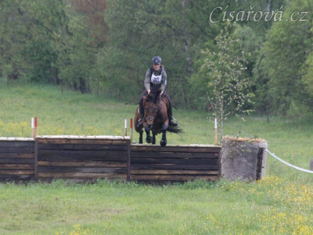 Bára, všestrannost stupně ZL, Borová 18.5.2014