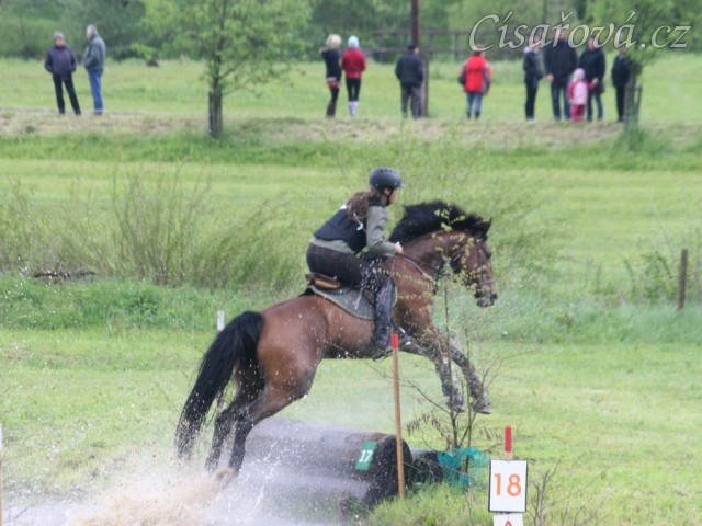Bára, všestrannost stupně ZL, Borová 18.5.2014