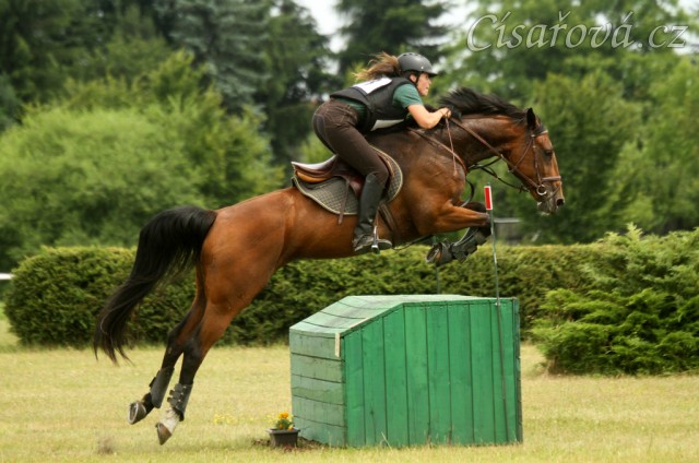 Bára, všestrannost stupně L, Kolesa 5.7.2014