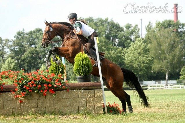 Bára, všestrannost stupně L, Pardubice 10.8.2014