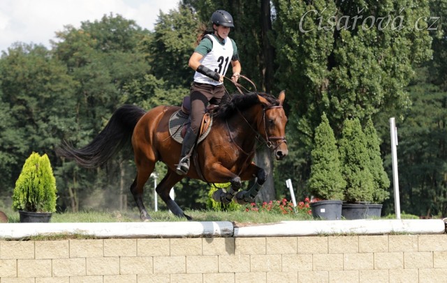 Bára, všestrannost stupně L, Pardubice 10.8.2014