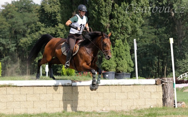 Bára, všestrannost stupně L, Pardubice 10.8.2014