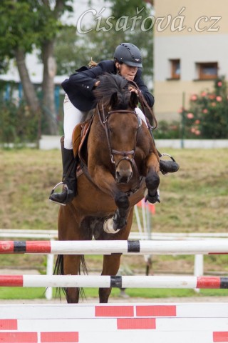 Bára, parkur stupně ZL, Klatovy 20.9.2014. Foto Michaela Holubová