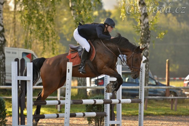 Bára, parkur stupně Z, Klatovy 20.9.2014. Foto Jiří Smetana, www.js-foto.cz