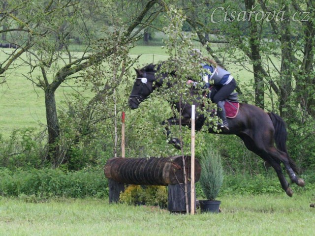 Arwen a Radka Císařová, všestrannost stupně ZL, Borová 18.5:2014