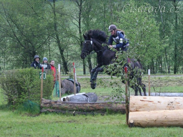 Arwen a Radka Císařová, všestrannost stupně ZL, Borová 18.5:2014