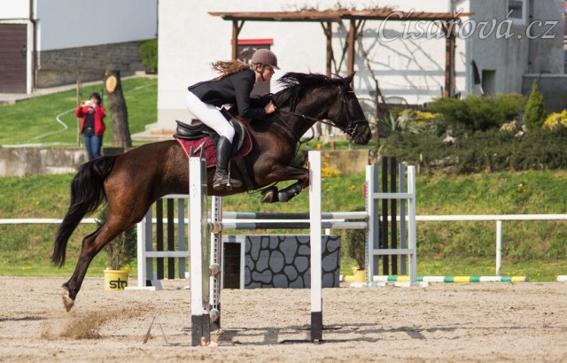 Arwen a Radka Císařová, parkur stupně ZL, Klatovy 20.4:2014. Foto Michaela Holubová