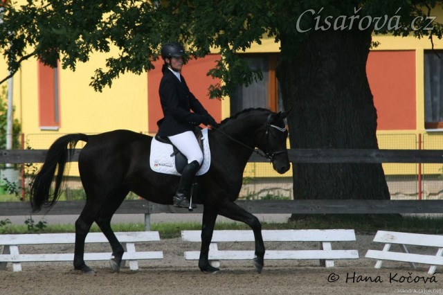 Carthago, drezura stupně L (DJ), Dubenec 28.6.2014