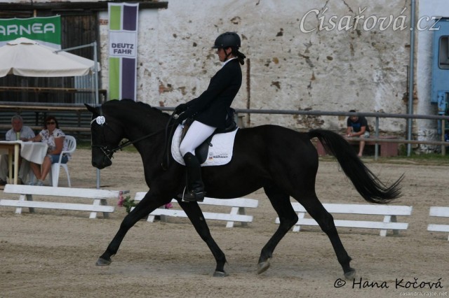 Carthago, drezura stupně L (DJ), Dubenec 28.6.2014