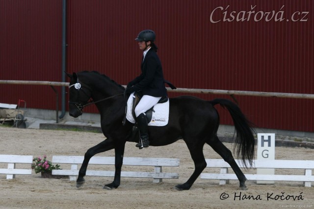 Carthago, drezura stupně L (DJ), Dubenec 28.6.2014