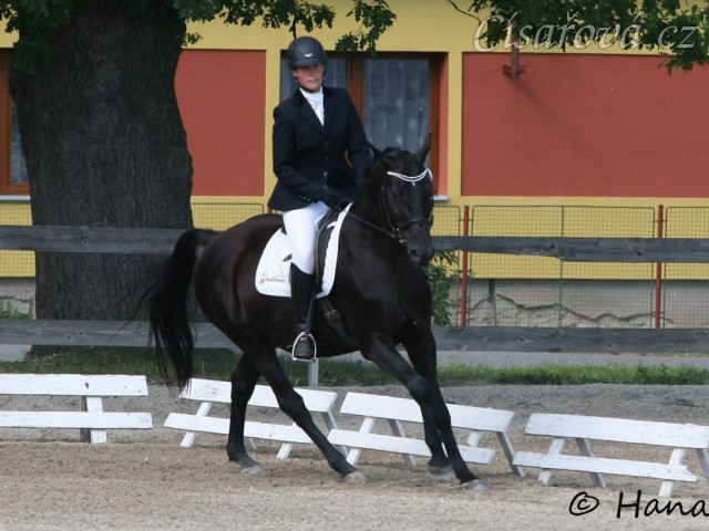 Carthago, drezura stupně L (DJ), Dubenec 28.6.2014