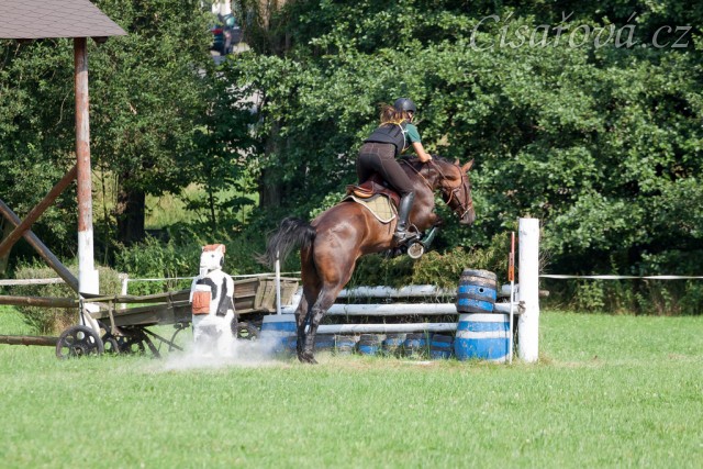 Chesterton, KMK pětiletých koní ve všestrannosti (ZL), Humpolec 18.7.2014