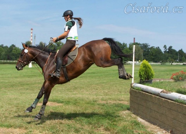 Chesterton, všestrannost stupně ZL, Pardubice 10.8.2014