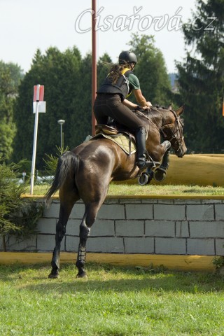 Chesterton, KMK pětiletých koní ve všestrannosti (ZL), Humpolec 18.7.2014
