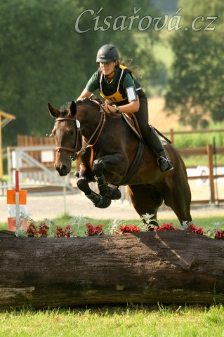 Chesterton, KMK pětiletých koní ve všestrannosti (ZL), Humpolec 18.7.2014