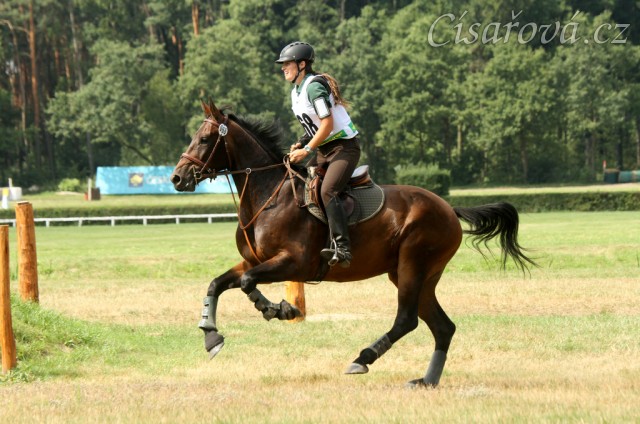 Chesterton, všestrannost stupně ZL, Pardubice 10.8.2014