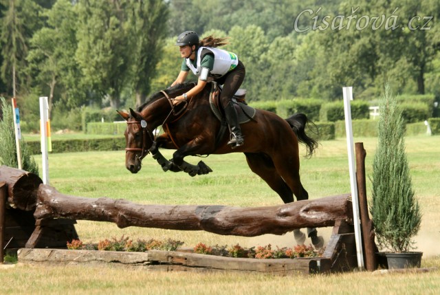 Chesterton, všestrannost stupně ZL, Pardubice 10.8.2014