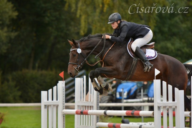 Chesterton, parkur stupně L**, Klatovy 20.9.2014. Foto Jiří Smetana, www.js-foto.cz