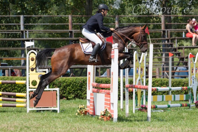 Chesterton, KMK pětiletých koní ve všestrannosti (ZL), Humpolec 18.7.2014