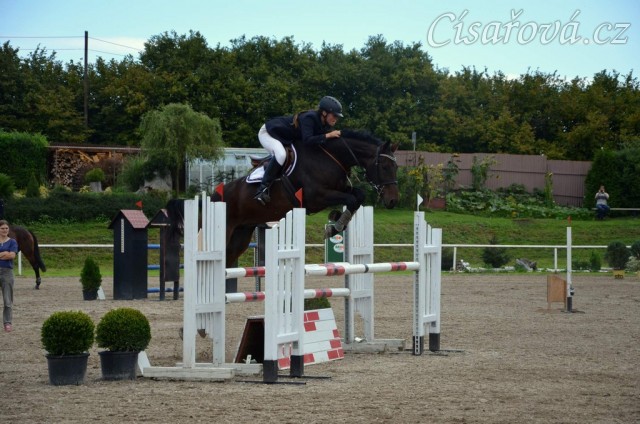 Chesterton, parkur stupně L**, Klatovy 20.9.2014