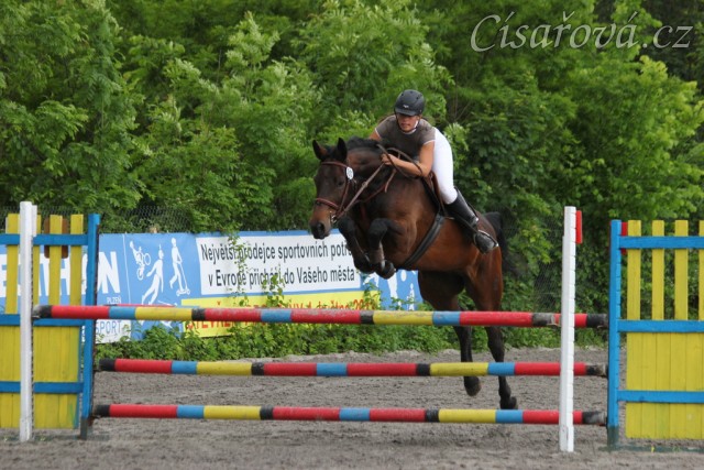 Chesterton, parkur stupně Z, Plzeň 31.5.2014. Foto Jitka Kreidlová