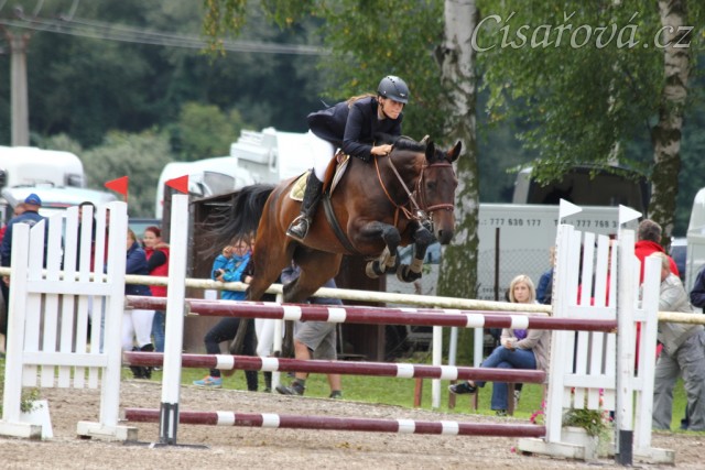 Chesterton, parkur stupně ZL, Klatovy 16.8.2014. Foto Jitka Kreidlová