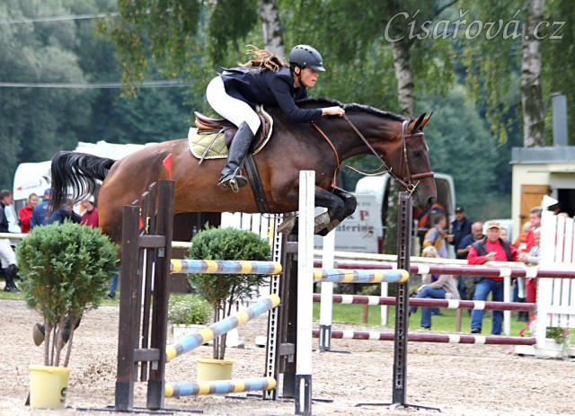 Chesterton, parkur stupně ZL, Klatovy 16.8.2014. Foto Jitka Kreidlová
