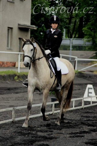 Alpinhorse Midnight Princess a Míša Haderková, drezura Z1 Plzeň 14.6.2014