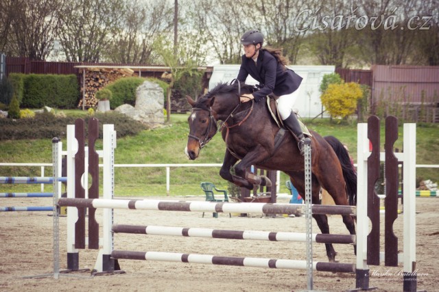 Fivitas Dei, parkur ZM - 4. místo, Klatovy 8.5.2014