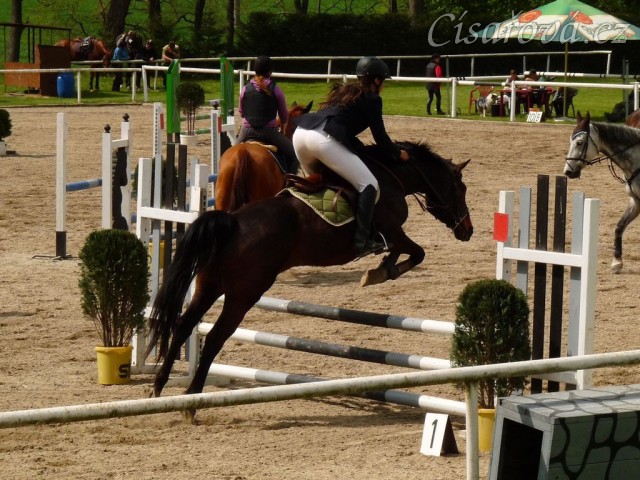 Fivitas Dei, parkur ZM, Klatovy 20.4.2014