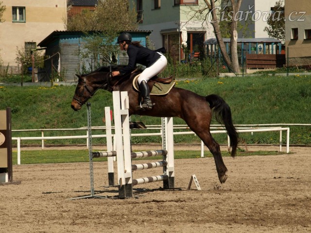 Fivitas Dei, parkur ZZ, Klatovy 20.4.2014