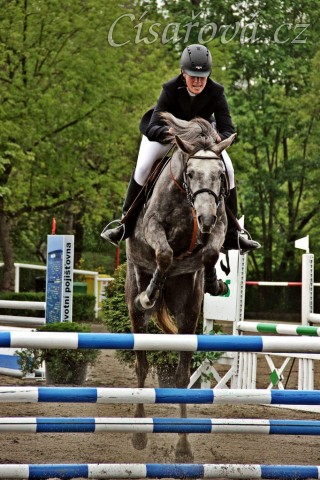 Vesna, parkur stupně Z, Plzeň 3.5.2014