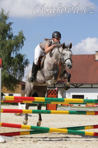 Vesna, KMK čtyřletých koní ve skocích (Z), Mariánské Lázně 18.6.2014