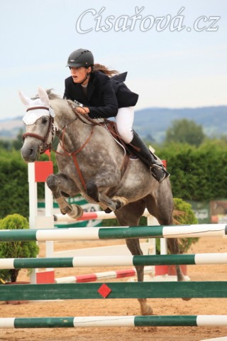 Vesna, KMK čtyřletých koní ve skocích (ZL) - 4. místo, Tachov 13.8.2014
