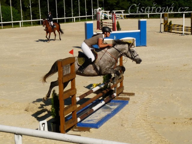 Vesna, KMK čtyřletých koní ve skocích (Z), Mariánské Lázně 18.6.2014