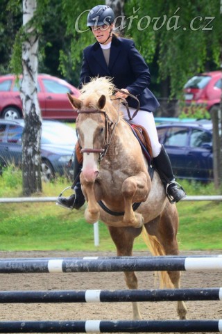 Terry a jeho první parkur, 80cm Klatovy 17.8.2014