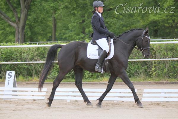 Carthago, drezura stupně L (DJ), Vondrov 11.5.2014