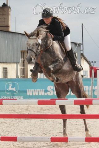 Vesna, KMK čtyřletých koní ve skocích (parkur Z), Zduchovice 15.5.2014