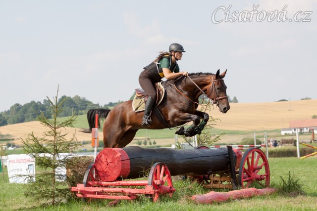 Chesterton, KMK pětiletých koní ve všestrannosti (ZL), Humpolec 18.7.2014