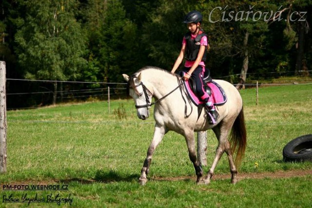 Pětiletá WPBr Alpinhorse Midnight Princess se svou jezdkyní Michaelou Haderkovou