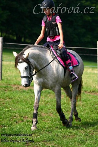 Pětiletá WPBr Alpinhorse Midnight Princess se svou jezdkyní Michaelou Haderkovou