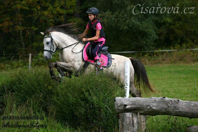 Pětiletá WPBr Alpinhorse Midnight Princess se svou jezdkyní Michaelou Haderkovou