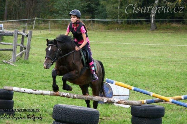 Čtyřletý WPBr Gimli při práci na jízdárně