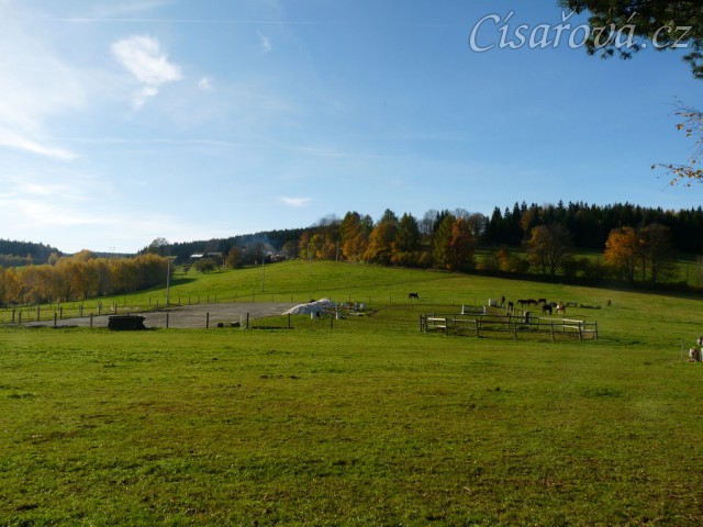 stádo klisen, podzim 2014