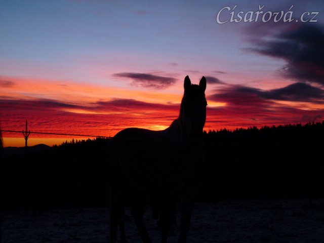 Zimní východ slunce