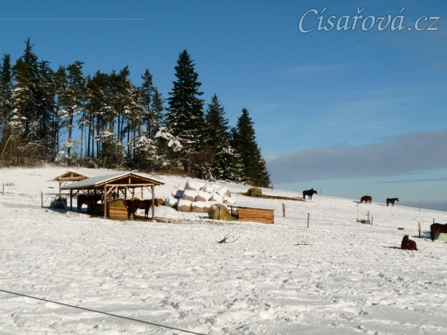 Zimní výběh, seníky