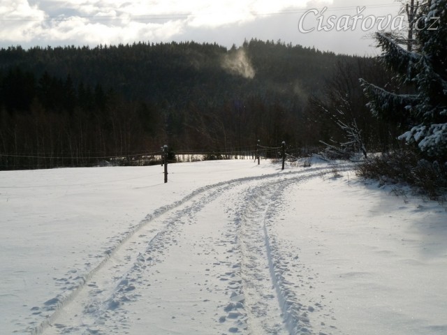 Příjezdovka konečně se sněhem:-)